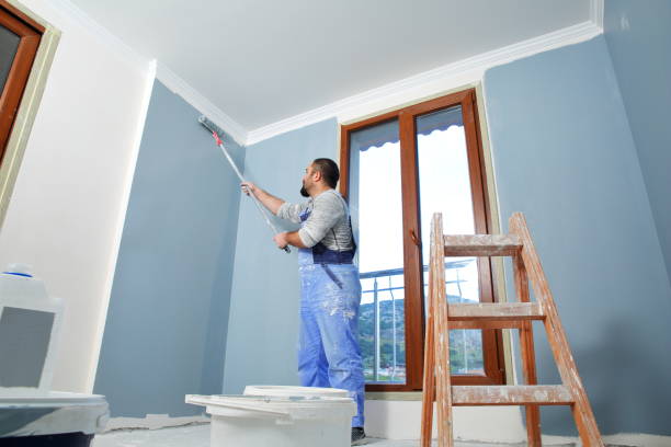 Best Drywall for Remodeling  in Holly, MI