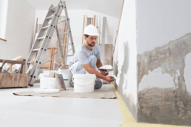 Best Fire-Damaged Drywall Repair  in Holly, MI