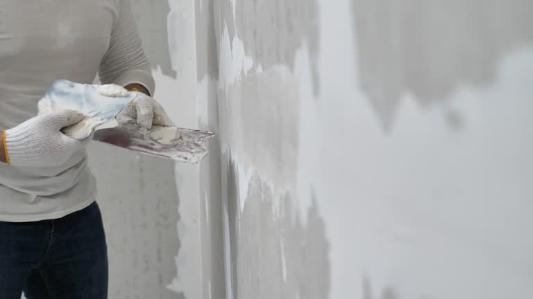 Best Drywall Sanding and Smoothing  in Holly, MI